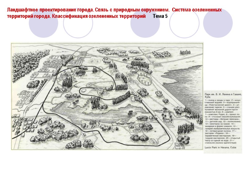 Ландшафтное проектирование города. Связь с природным окружением.  Система озелененных территорий города. Классификация озелененных